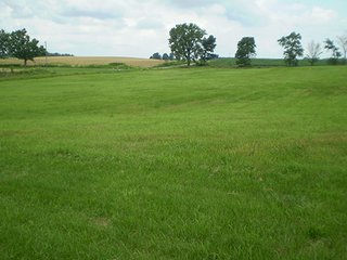 Property photo 3 - Home & Land Auction, Country Home with 5.29 Acres
